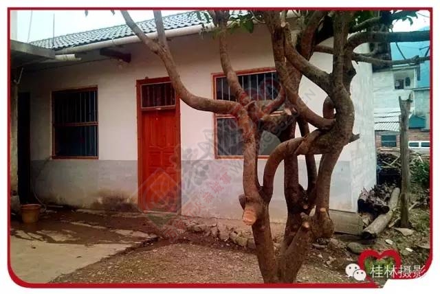 恭城志凯你来过满？229 / 作者:脚踏实地 / 帖子ID:163755