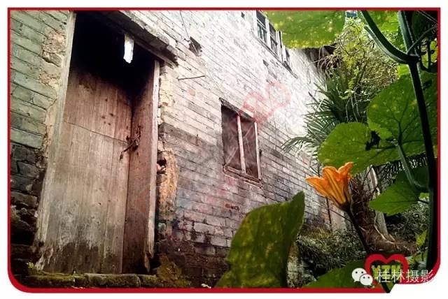 恭城志凯你来过满？459 / 作者:脚踏实地 / 帖子ID:163755