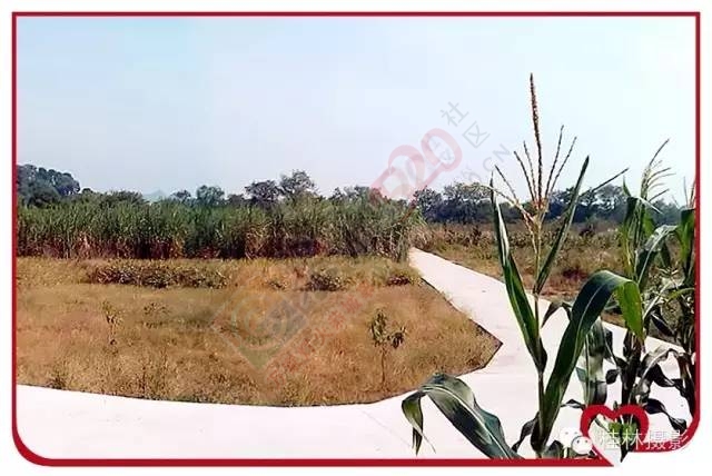 恭城志凯你来过满？635 / 作者:脚踏实地 / 帖子ID:163755