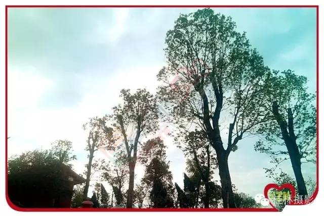 恭城志凯你来过满？63 / 作者:脚踏实地 / 帖子ID:163755