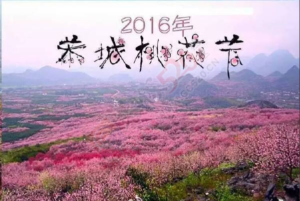 问一下，今年桃花节是什么时候，在哪办啊267 / 作者:黑白年代 / 帖子ID:163810