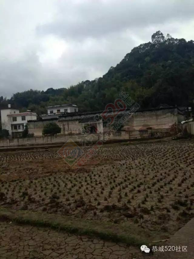 陈氏宗亲在恭城乐湾陈氏宗祠举行了春祀大典601 / 作者:深秋的落叶 / 帖子ID:163882