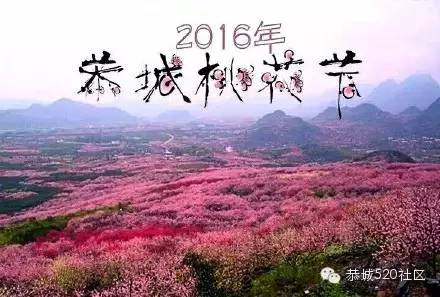 2016恭城桃花节赏花区推荐 今年桃花节免票557 / 作者:深秋的落叶 / 帖子ID:164048