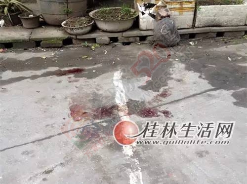 桂林一小学生开学当天跳楼身亡&quot; 的惊人真相！150 / 作者:该做的事情 / 帖子ID:164186