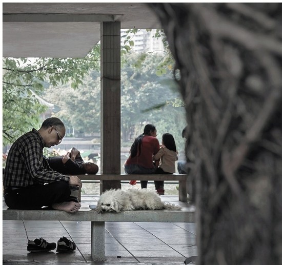 亲近与疏离——我的社会纪实摄影观327 / 作者:若非是非 / 帖子ID:164307