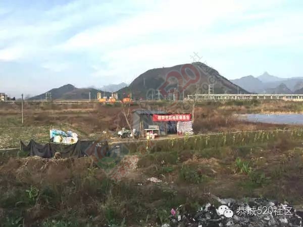 外地游客爆恭城动车站旁自摘草莓黑心宰客613 / 作者:深秋的落叶 / 帖子ID:164378