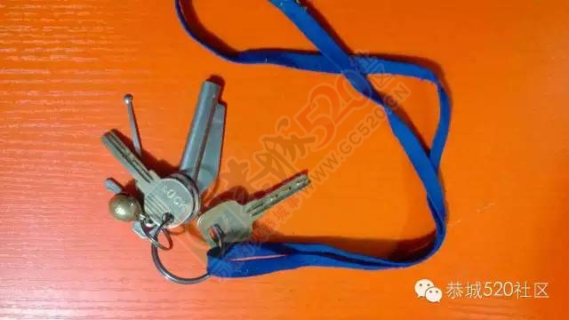 寻人启事/寻物启事/失物招领282 / 作者:深秋的落叶 / 帖子ID:164379