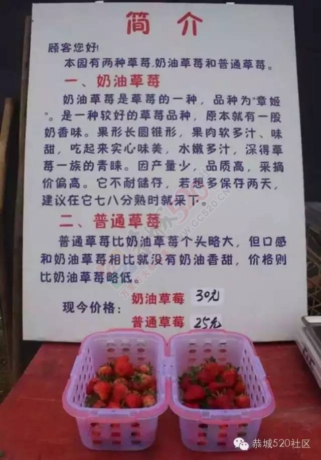 恭城高铁站草莓园被爆“宰客”和“恶狗咬小孩”后，老板竟做出这事！792 / 作者:深秋的落叶 / 帖子ID:164663