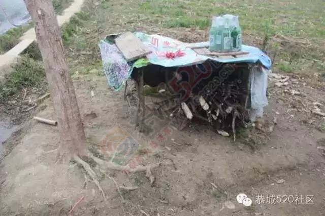 恭城高铁站草莓园被爆“宰客”和“恶狗咬小孩”后，老板竟做出这事！74 / 作者:深秋的落叶 / 帖子ID:164663