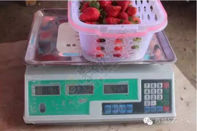 恭城高铁站草莓园被爆“宰客”和“恶狗咬小孩”后，老板竟做出这事！994 / 作者:深秋的落叶 / 帖子ID:164663