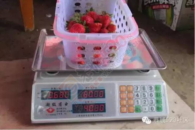 恭城高铁站草莓园被爆“宰客”和“恶狗咬小孩”后，老板竟做出这事！987 / 作者:深秋的落叶 / 帖子ID:164663