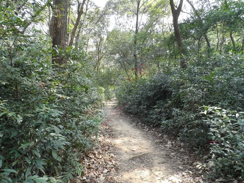 又回五福村730 / 作者:茶江闲云1 / 帖子ID:164754