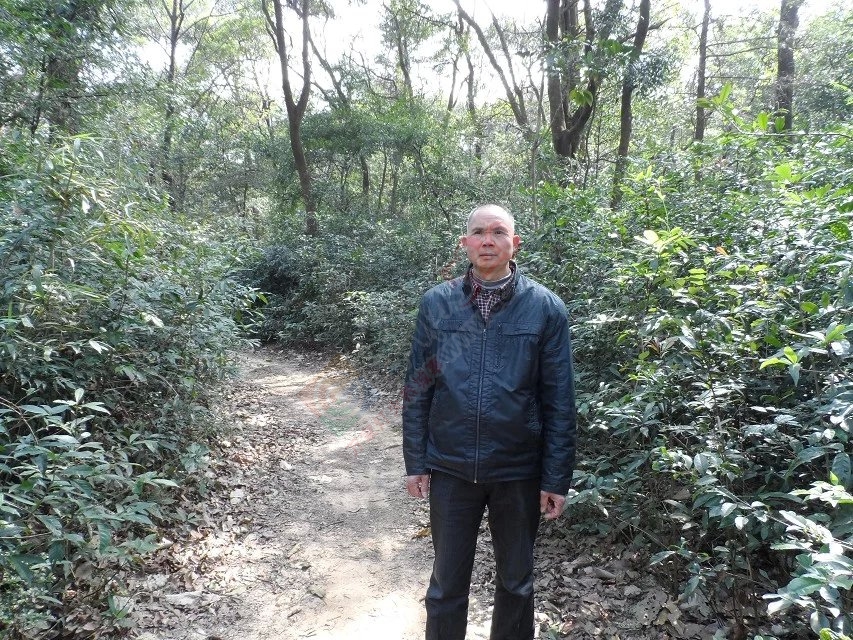 又回五福村266 / 作者:茶江闲云1 / 帖子ID:164754