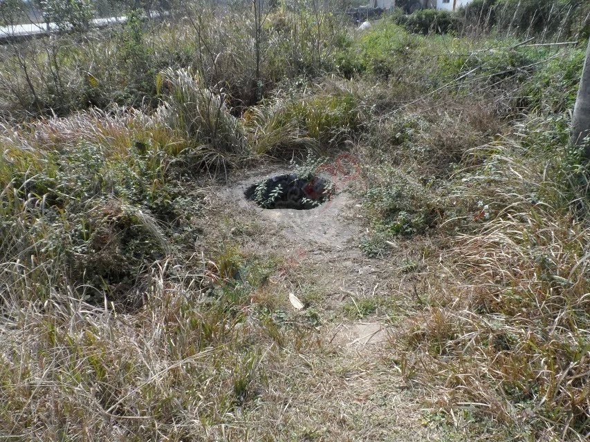 又回五福村340 / 作者:茶江闲云1 / 帖子ID:164754
