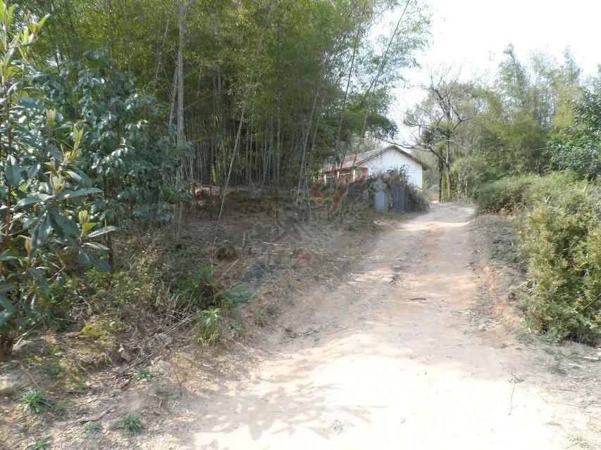 又回五福村679 / 作者:茶江闲云1 / 帖子ID:164754