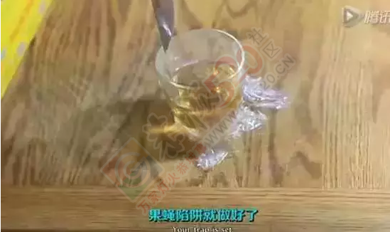 恭城人快看！垃圾桶里滴3滴醋 意想不到的事发生了377 / 作者:今日恭城 / 帖子ID:165088