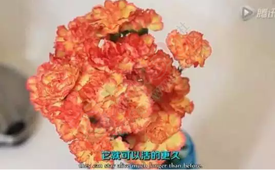 恭城人快看！垃圾桶里滴3滴醋 意想不到的事发生了266 / 作者:今日恭城 / 帖子ID:165088