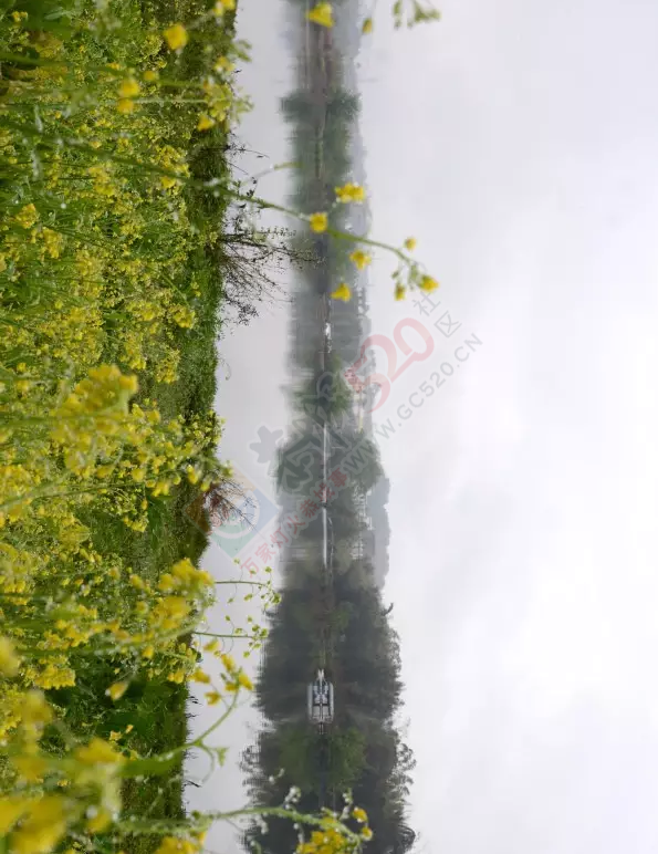烟雨恭城，水墨茶江799 / 作者:今日恭城 / 帖子ID:165117