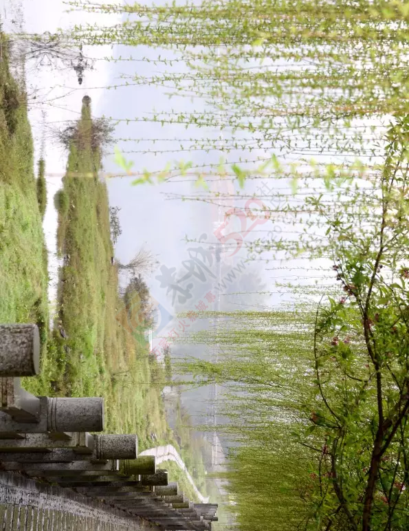 烟雨恭城，水墨茶江348 / 作者:今日恭城 / 帖子ID:165117