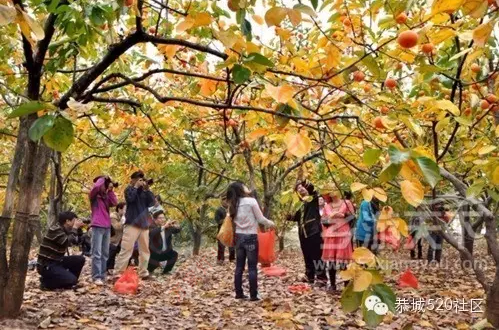 没有恭城女人，恭城将失去半壁江山！609 / 作者:今日恭城 / 帖子ID:165157