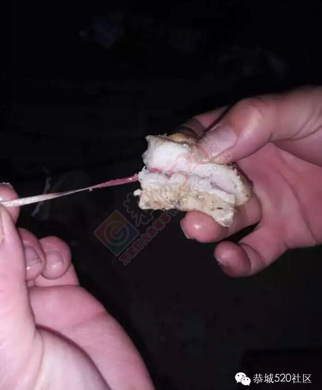 恶心！恭城菜市买的猪肉居然吃出一条长长的东西！771 / 作者:今日恭城 / 帖子ID:165218