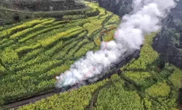 恭城人请注意！5月12日以后的火车票暂时停售333 / 作者:訫懐梦想 / 帖子ID:165289