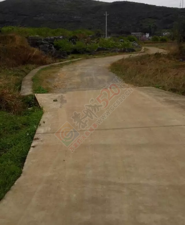 西领乡挖沟大队凤鸡村道路让人无语……498 / 作者:jphzy / 帖子ID:165359