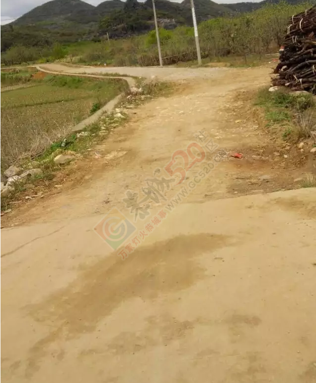西领乡挖沟大队凤鸡村道路让人无语……344 / 作者:jphzy / 帖子ID:165359
