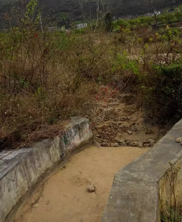 西领乡挖沟大队凤鸡村道路让人无语……236 / 作者:jphzy / 帖子ID:165359