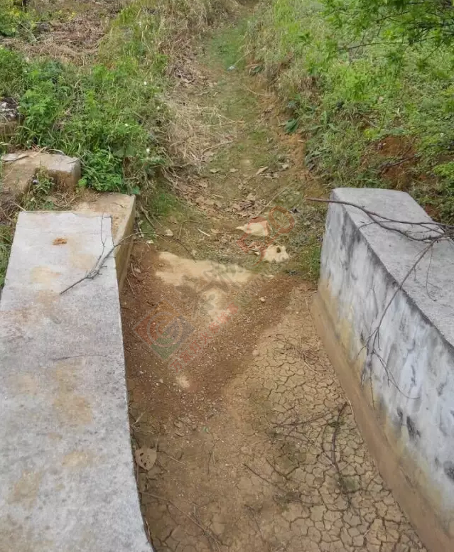 西领乡挖沟大队凤鸡村道路让人无语……32 / 作者:jphzy / 帖子ID:165359
