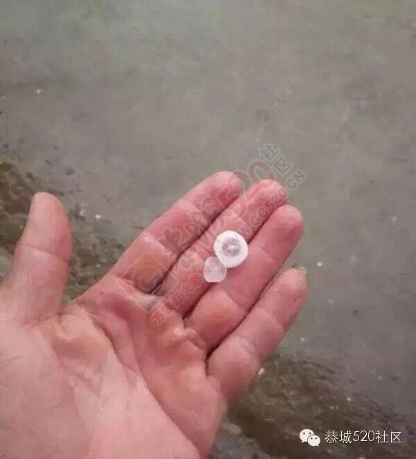 白天太阳傍晚冰雹，恭城人还能愉快地过周末吗？372 / 作者:今日恭城 / 帖子ID:165415