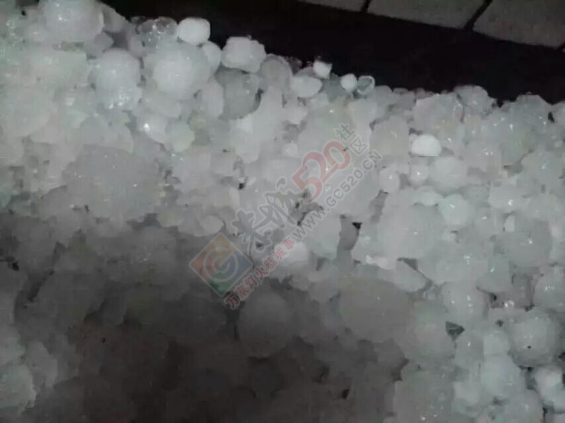 第一次看到那么大的冰雹    是要死人的节奏麽84 / 作者:1164125088 / 帖子ID:165433