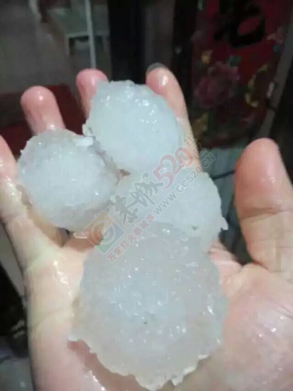 第一次看到那么大的冰雹    是要死人的节奏麽549 / 作者:1164125088 / 帖子ID:165433