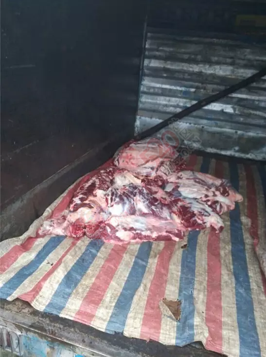 私宰牛肉，就这样上了你家的餐桌！390 / 作者:天空蓝 / 帖子ID:165512