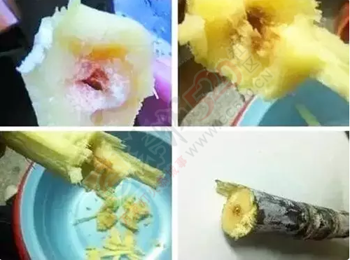 清明快到了恭城人千万别吃它，比毒蛇还毒！14 / 作者:恭城靠大家 / 帖子ID:165534