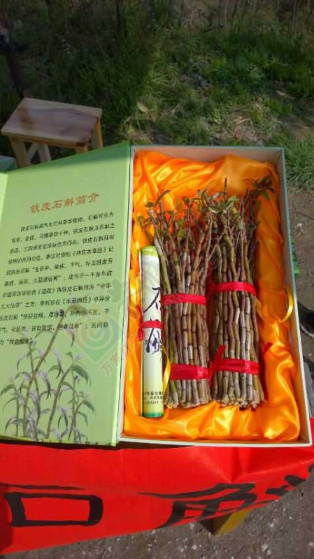健康长寿，青春永驻!12 / 作者:ZyJ一缘源 / 帖子ID:165624