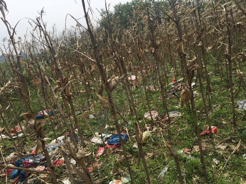 我的土地谁做主788 / 作者:婉儿 / 帖子ID:166580