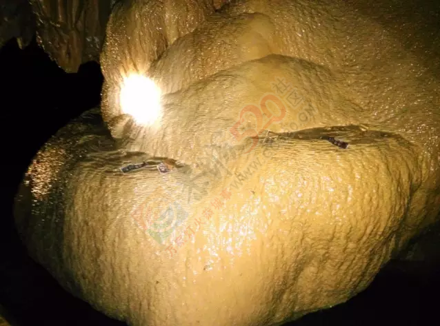 带你穿越，带你飞！东晋桃花源惊现恭城！739 / 作者:心交朋友钱交狗 / 帖子ID:167733