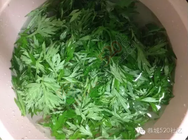 恭城人记忆中的艾叶粑：那一口清香甜糯，让人想要把整个春天吃进肚子里！227 / 作者:今日恭城 / 帖子ID:167909