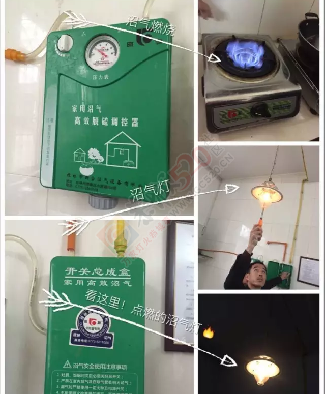 寻访生态乡村——“绿镜头”走进恭城之一913 / 作者:心交朋友钱交狗 / 帖子ID:167920