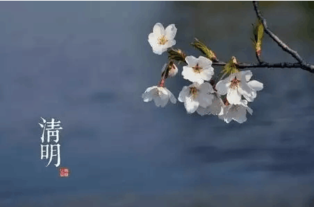 关于清明节扫墓禁忌，这些事恭城人必须知道些7 / 作者:罗马的天空 / 帖子ID:168131