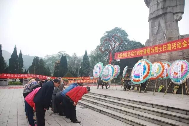 我县40多名烈士家属千里扫墓 勿忘英烈！379 / 作者:风油精 / 帖子ID:168154