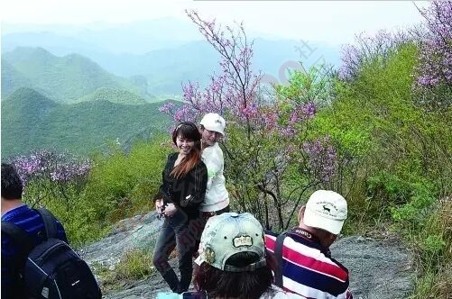 恭城：紫荆花开引客来270 / 作者:心交朋友钱交狗 / 帖子ID:168285