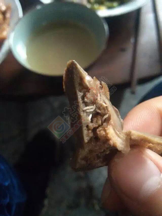 在恭城难怪人人都把它当宝！！！617 / 作者:喜欢装点糊涂 / 帖子ID:168391