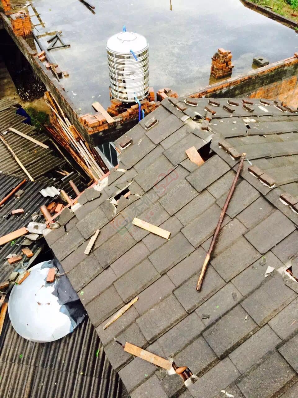 经狂风暴雨洗礼后的恭城！我和我的小伙伴们都惊！呆！了！243 / 作者:恭城靠大家 / 帖子ID:168419