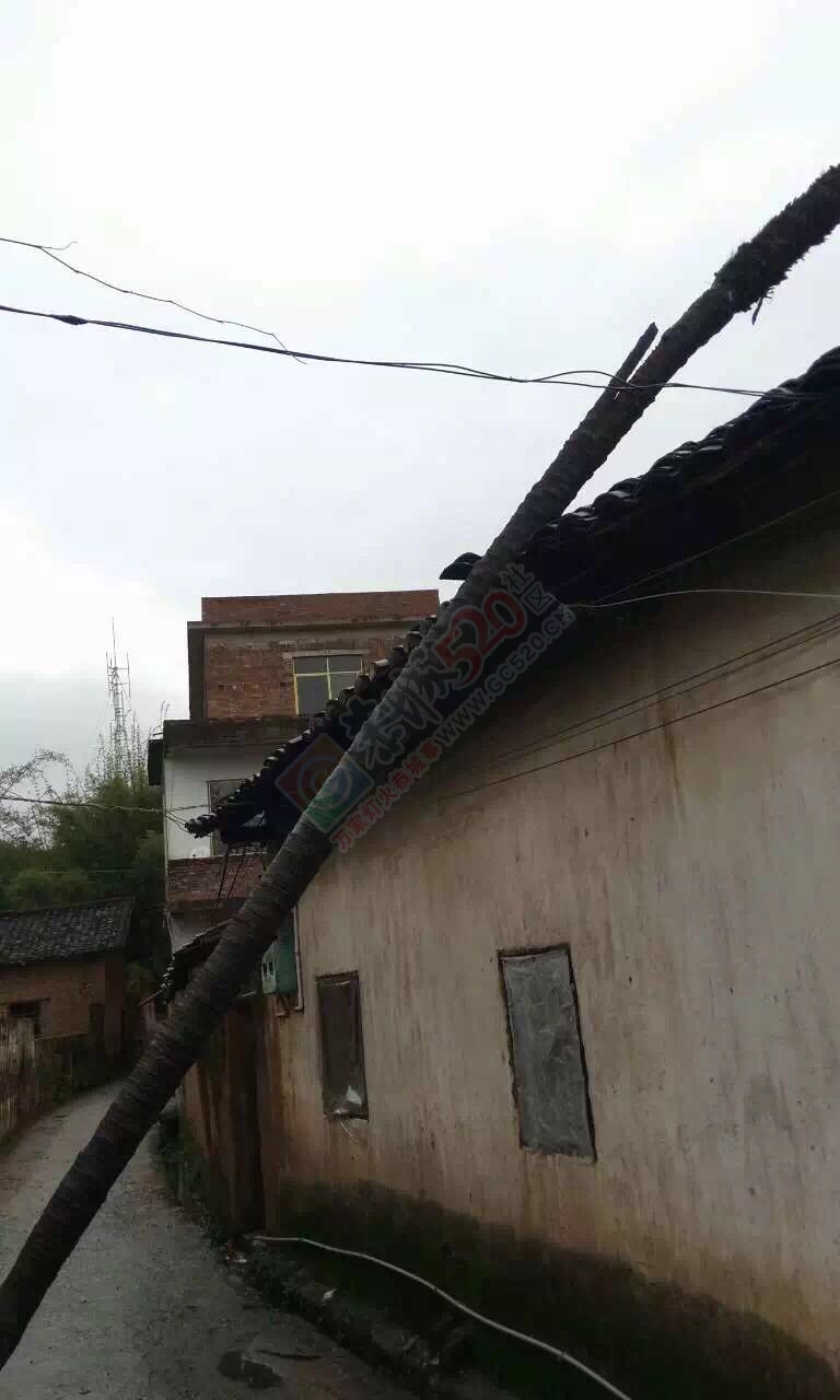 经狂风暴雨洗礼后的恭城！我和我的小伙伴们都惊！呆！了！712 / 作者:恭城靠大家 / 帖子ID:168419