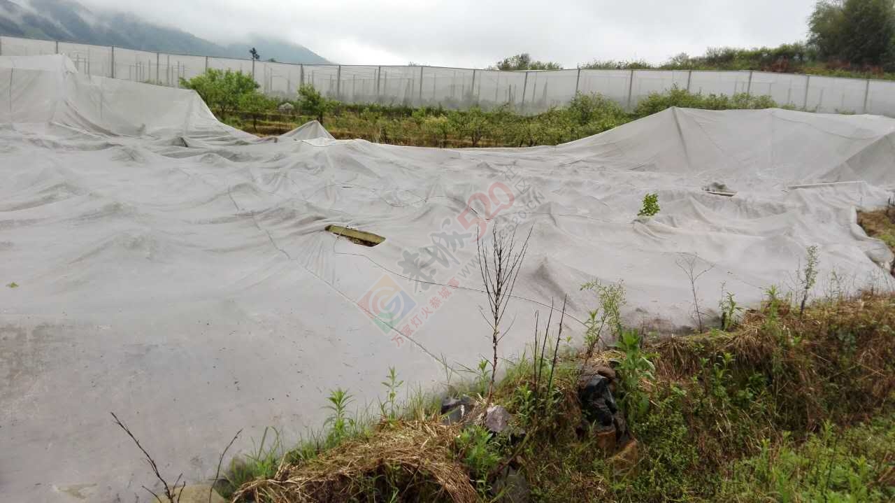 经狂风暴雨洗礼后的恭城！我和我的小伙伴们都惊！呆！了！577 / 作者:恭城靠大家 / 帖子ID:168419