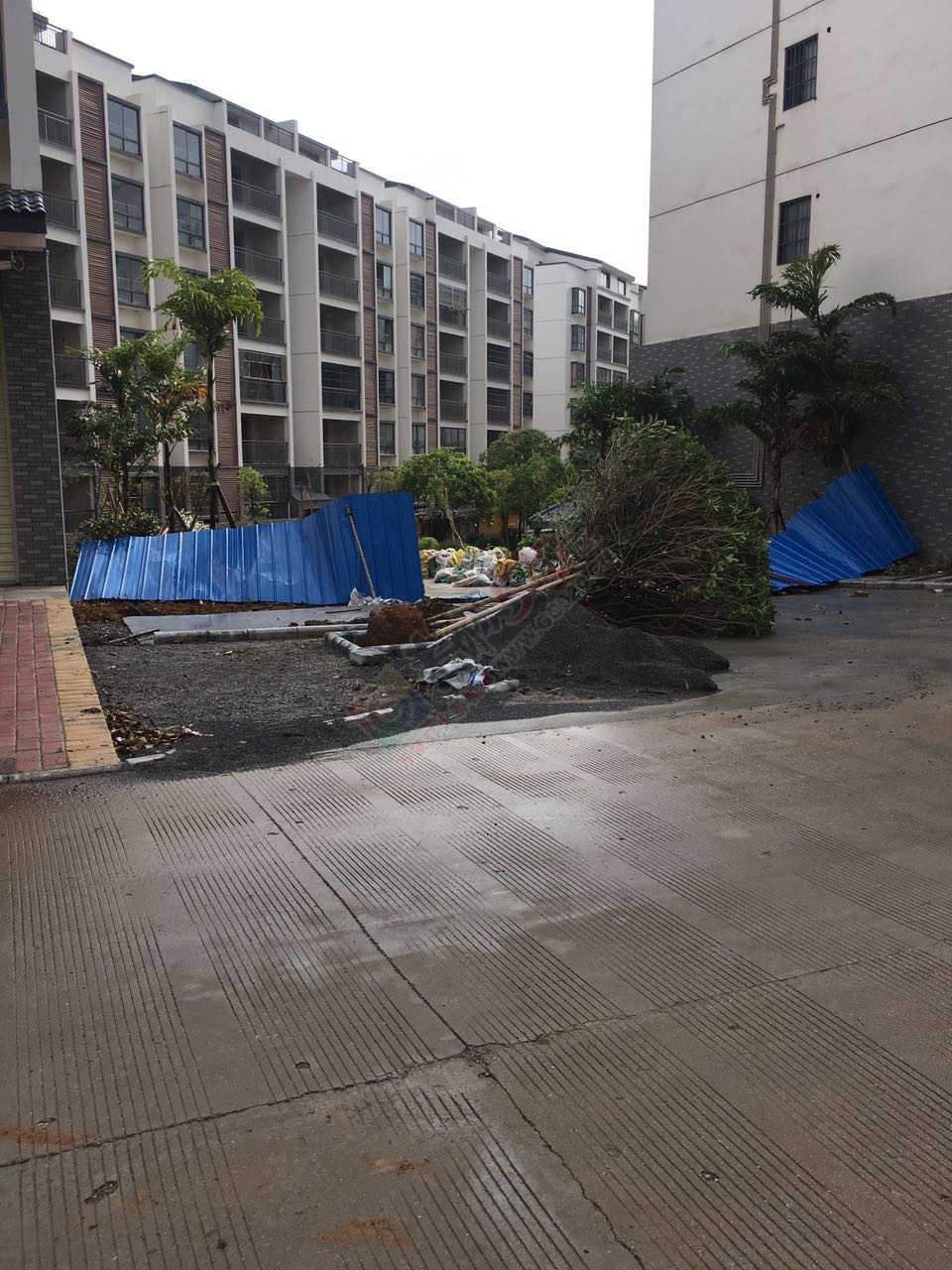 经狂风暴雨洗礼后的恭城！我和我的小伙伴们都惊！呆！了！11 / 作者:恭城靠大家 / 帖子ID:168419