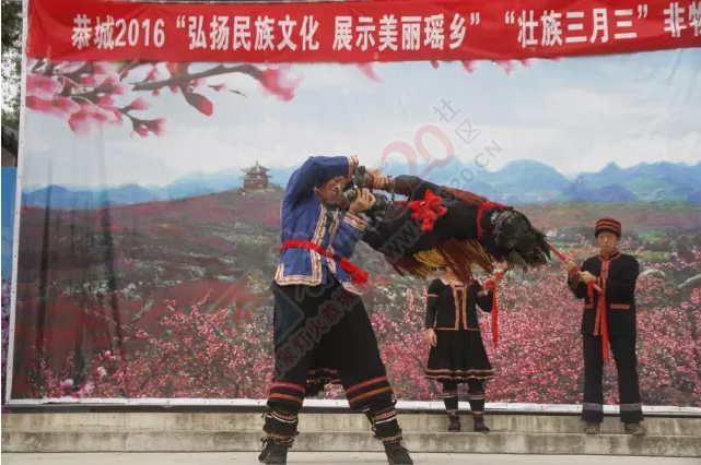 恭城人的“三月三”382 / 作者:今日恭城 / 帖子ID:168431