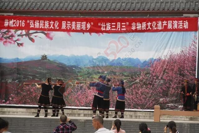 恭城人的“三月三”988 / 作者:今日恭城 / 帖子ID:168431